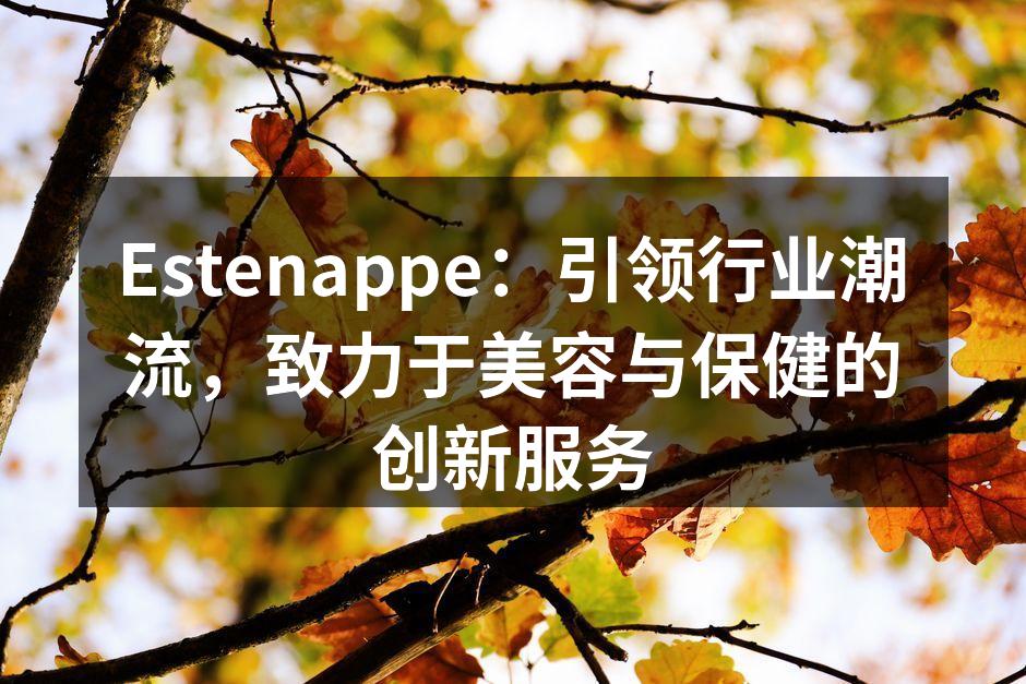 Estenappe最新科技展览现场